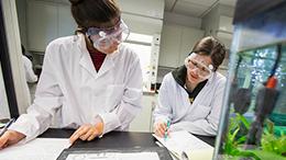 ASU a leader in undergraduate education ASU a leader in undergraduate education