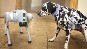 ASU团队开发用于搜救和协助视障人士的新型人工智能